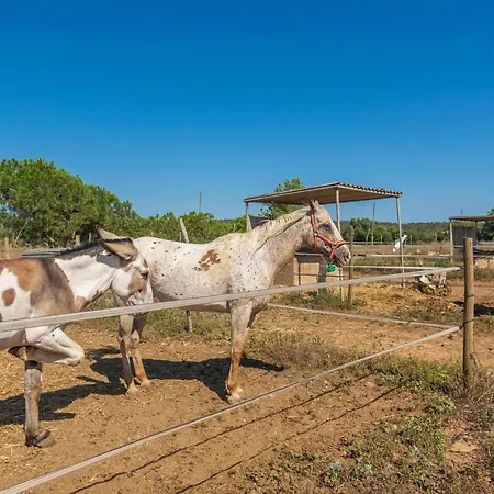 Chalé Lo Den Creus Campos (Mallorca)